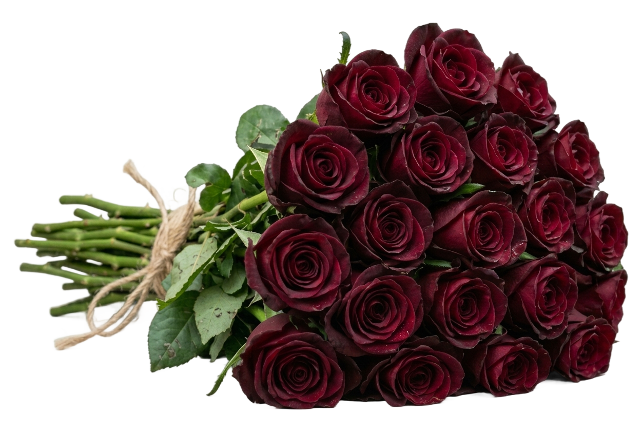 A tied bunch of 20 fresh roses