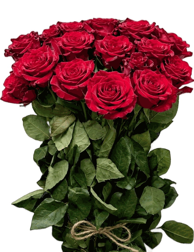 Red roses
